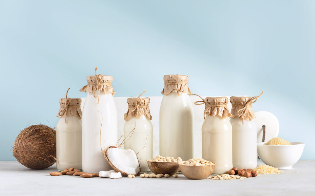 Milchalternativen und Kuhmilch im Öko-Check: Ökobilanz, Vergleich und nachhaltiger Kaffeegenuss