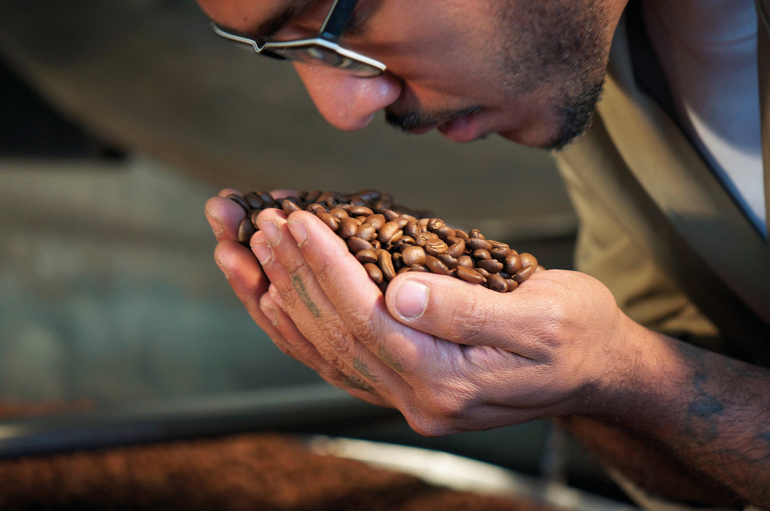 Helle, mittlere, dunkle Röstung: welcher Röstgrad zu deinem Kaffee passt