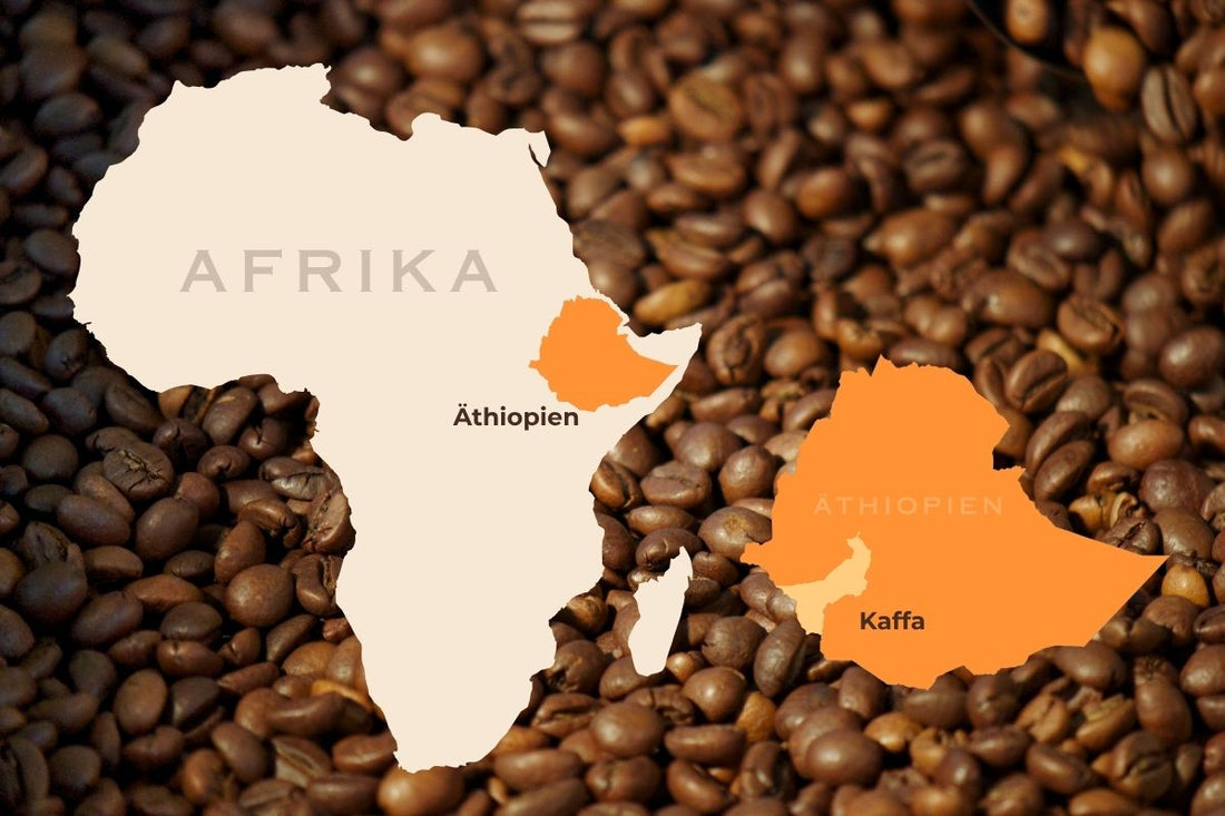 Ursprung des Kaffees: von Kaffa in Äthiopien in die Tassen der Welt