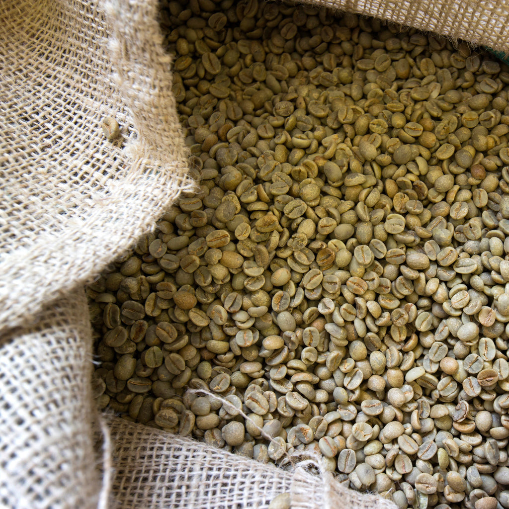 Grüner Kaffee Tee Rohkaffee in offenem Jutesack, zahlreiche hellgrüne Rohkaffeebohnen von oben sichtbar