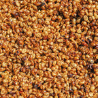 Nahaufnahme Honey Process: entpulpte Kaffeebohnen mit klebriger Schleimschicht trocknen dicht aneinandergelagert