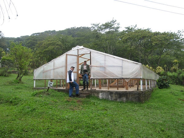 Bella Vista, Honduras BIO