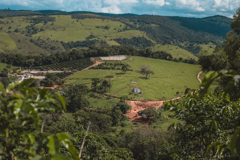 Blick von oben auf Fazenda Rainha Brasilien Kaffeeplantage mit Farmgebäuden, Trockenplatz, Kaffeereihen und grünen Hügeln im Tal