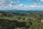 Weite Aussicht über Fazenda Rainha Brasilien Kaffeeplantage mit grünen Kaffeereihen, Hügeln und blauem Himmel