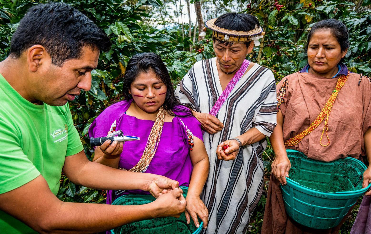Los Yaneshas, Peru Bio