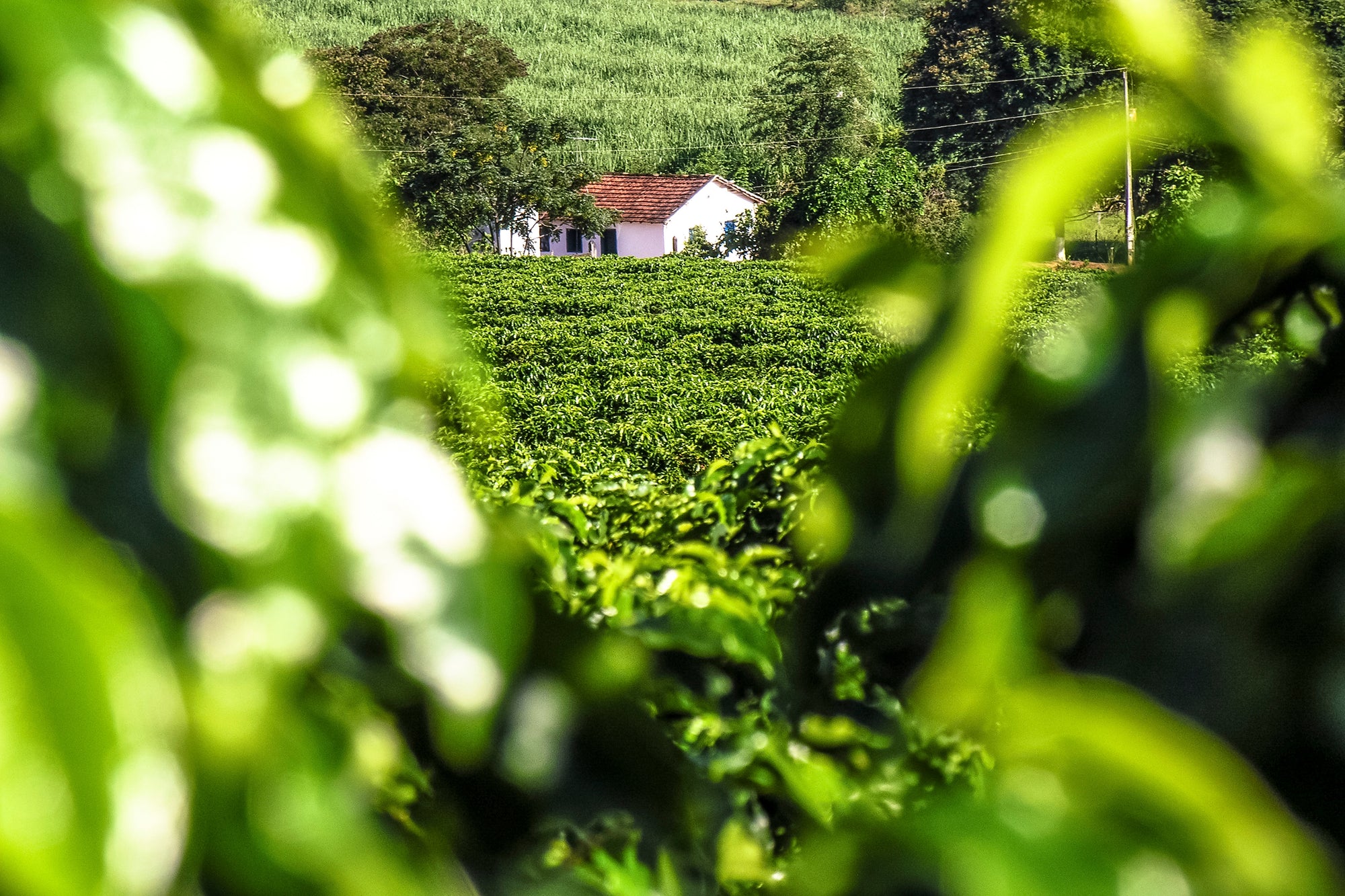 La Villa, Brasilien - Minas Gerais 