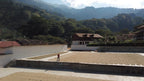 Kaffeekirschen trocknen auf einer Trockenfläche in Chiapas, Mexiko, vor bewaldeten Bergen, Kaffeefarmer