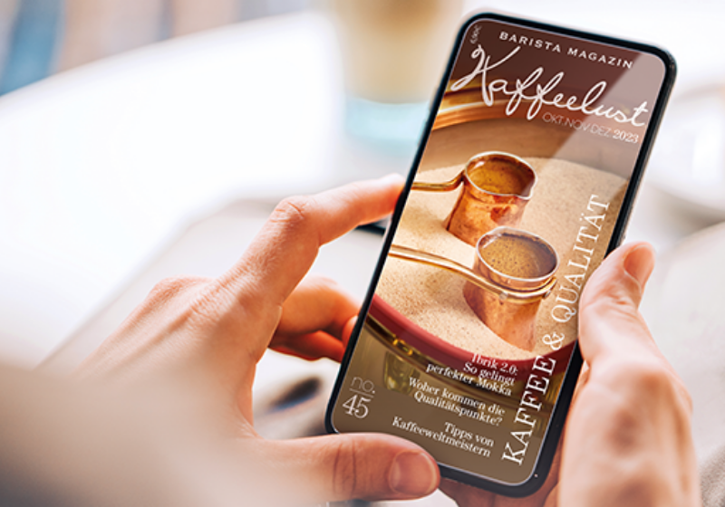 Hand hält Smartphone mit dem Onlineshop