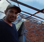 Kaffeekirschen der Finca Nazareth von Edgar Montes Coronado