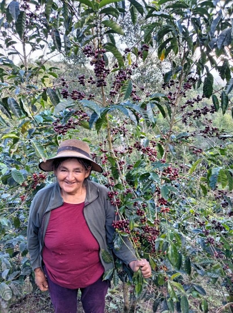 Kaffeeplantage der Finca El Mirador in Chanchamayo, Peru