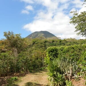 Apaneca Ilamatepec - Plantage El Salvador