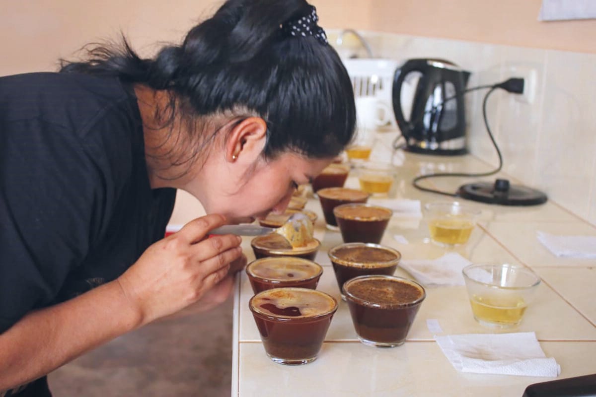 Frau beim Cupping - Pacha Mama Auktion