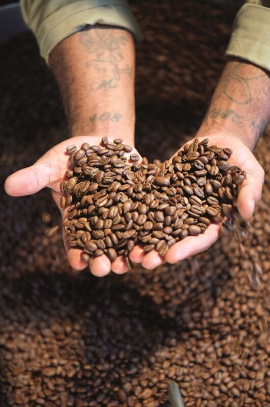 Gardiner Roester Bohnen Herz - Dark Roast - Doce Sonho, Guatemala