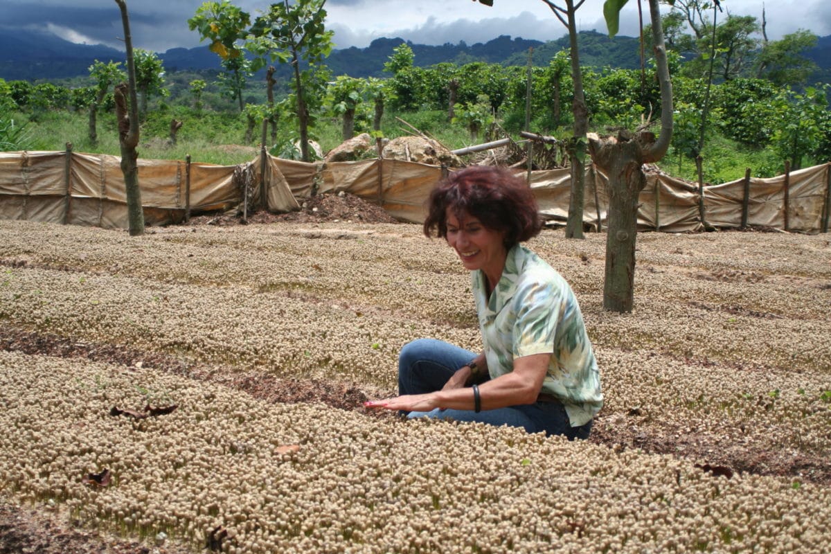 IMG 8790 scaled e1681387975727 - Santa Elena, Costa Rica - Vorratsdose