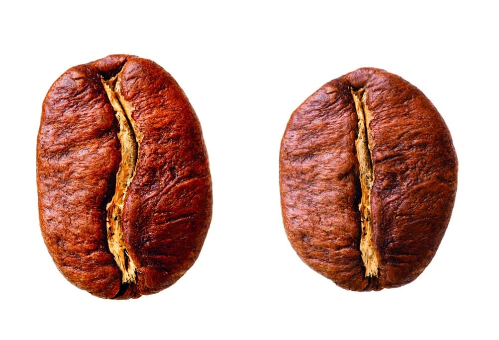 Arabica vs. Robusta – Unterschiede, Geschmack und Koffeingehalt