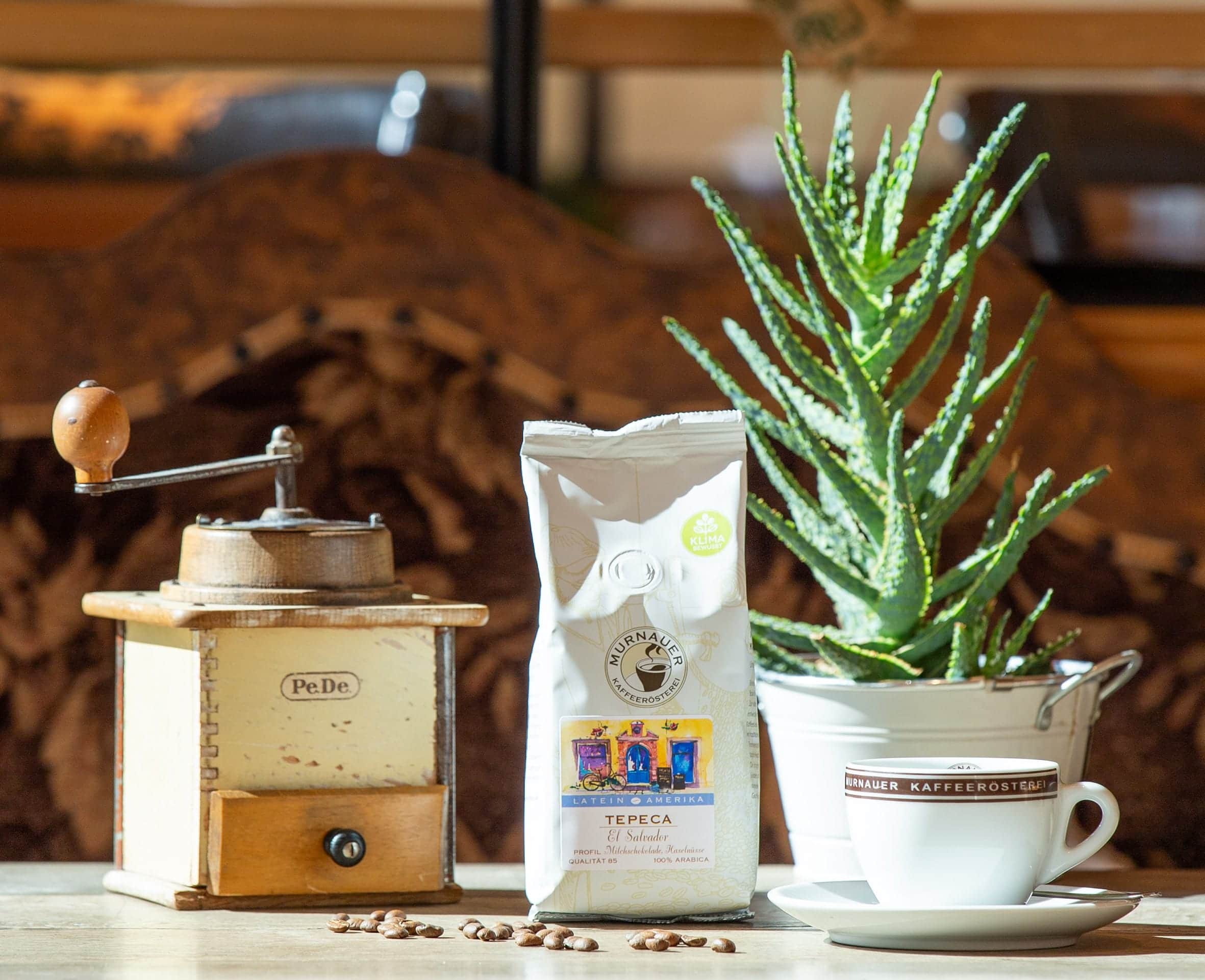 Startseite 1 Kaffee des Monats Tepeca aus El Salvador, stimmig platzier auf einem Tisch im Kaffeehaus und mit Kaffeetasse, Mühle und einer Pflanze