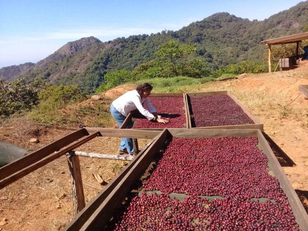 Nueva Esperanza, Mexiko - BIO 2 Mexiko - Nueva Esperanza, Mexiko - BIO