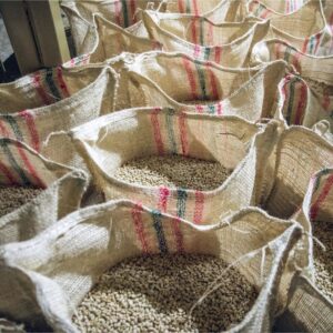 Planatagenbilder-Kolumbien.Huila-Belco-Sommerkaffee26 (3)
