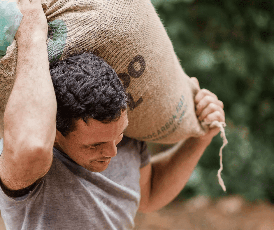 Plantage-KooperativeAPAS-Brasilien(4)
